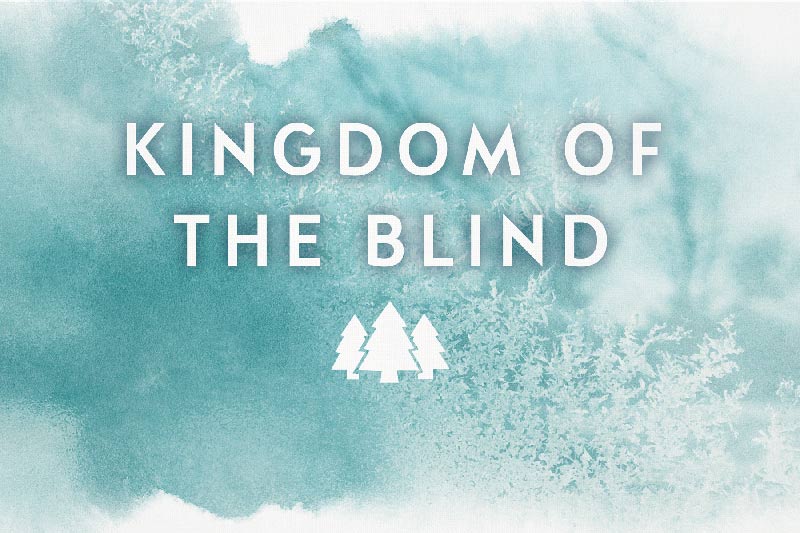  Kingdom of the Blind: (A Chief Inspector Gamache