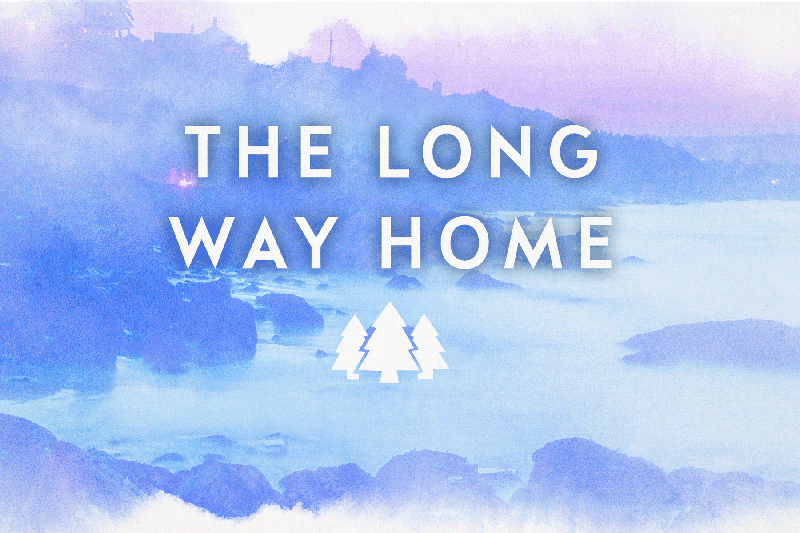 The Long Way Home: A Chief Inspector Gamache Novel [Book]